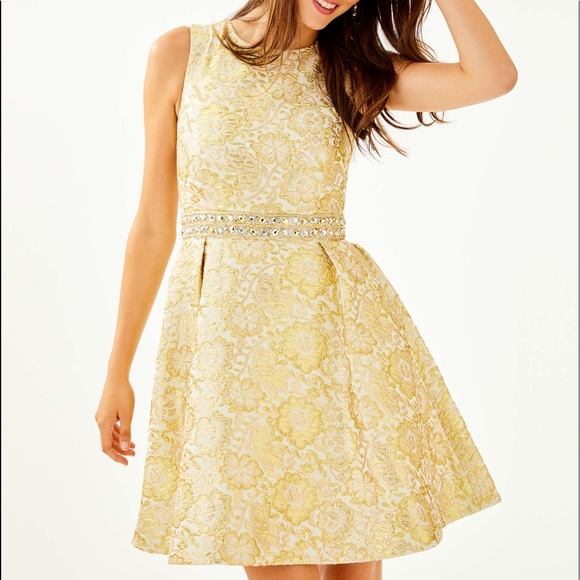 LILLY PULITZER Levy Sleeveless Fit & Flare Dress - Picture 3 of 16